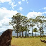 クカニロコ・バースストーン@ハワイ