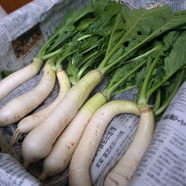 0b96d262557111e3aa05126f1c99ab93_7