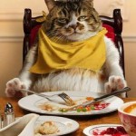 【甘美な誘惑】「満腹」という感覚について