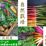 スクリーンショット 2015-07-07 17.40.18