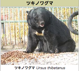 スクリーンショット 2015-07-03 18.39.01