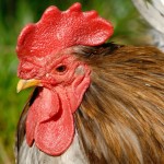 F201309120905151764531954