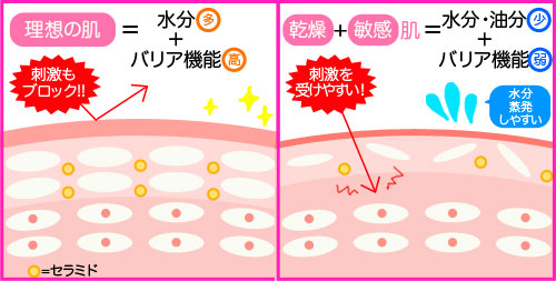 b22ccb7a2189259c5affaf14b19c0baf