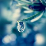 美肌の必須項目！化粧水の正しい選び方と使い方