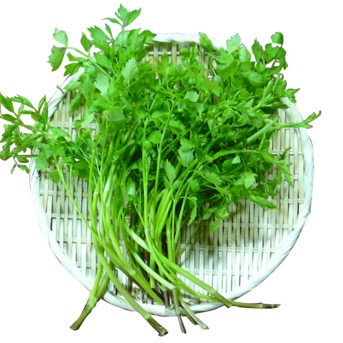 01311542_4f278d709ed1d