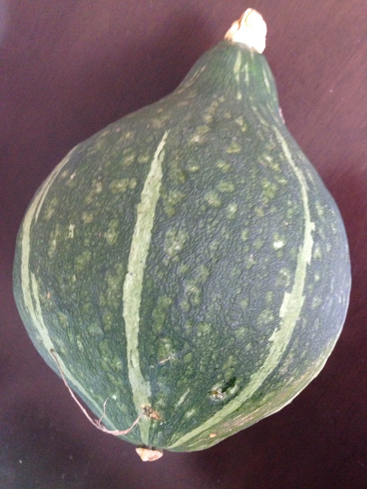 11892028_857244164371721_285024859382899250_n