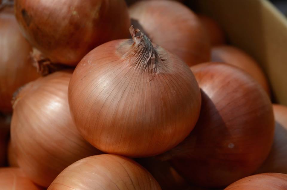 12009642_866665886762882_6522510510766106_n