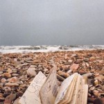 【『ホンモノ』の追求が誘う場所へ。（異分野でも同じ場所へ到達する不思議）】