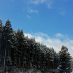 【自分にかけていた『呪い』の解き方。】《ワイルドスキンケア ヴァスパー》