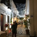 【只今、旅行中《スペイン『エステポナ』》何を食べても、美味しい！！】