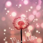 【自分をもっと好きになるために☆《『自分だけのヒミツの抱負』》まずは『小さな一歩』から。】