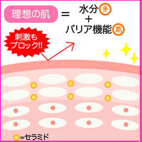 スクリーンショット 2015-09-02 12.56.22