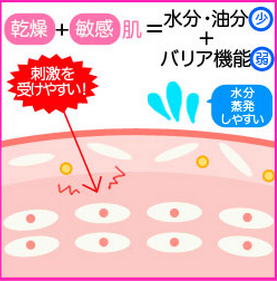 スクリーンショット 2015-09-02 12.56.30