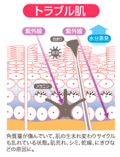 スクリーンショット 2015-09-02 13.07.14