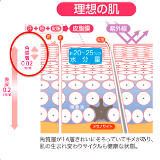 スクリーンショット 2015-09-02 13.07.25