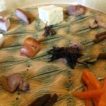 10418399_10204003957639847_69034869990184142_n