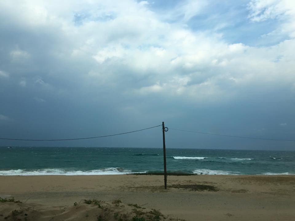 12096210_10207588123641757_4133706110057300890_n