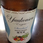 【今日から☆ファスティング】