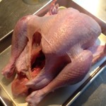 【今日はターキー♪】