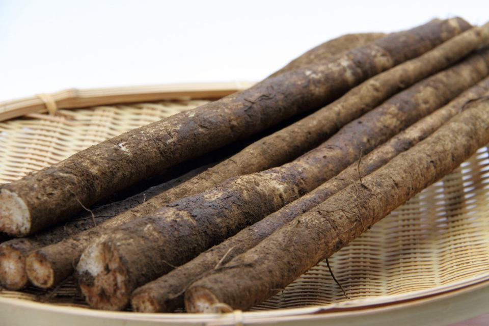 11240133_56533fcd908cc