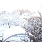 【今日から東京】