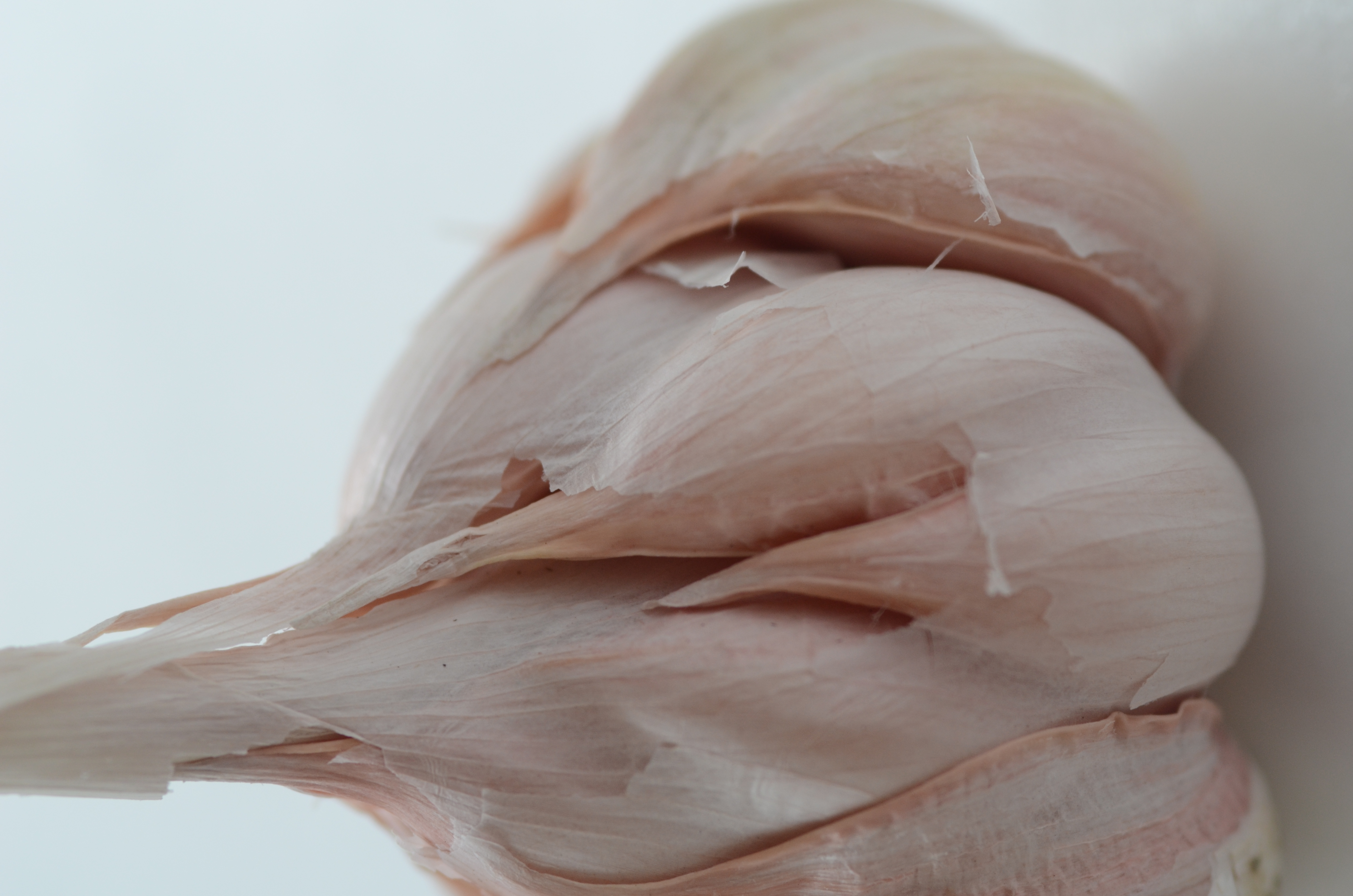 【島ニンニク】　沖縄県　糸満市産　100g