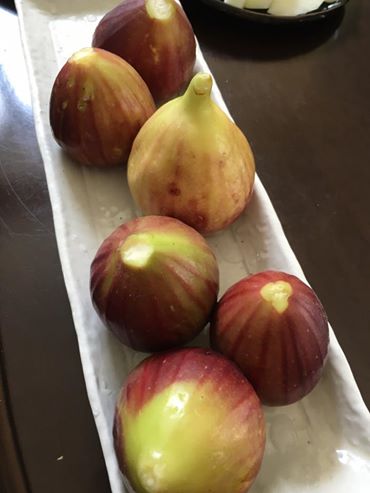 14199184_1074574269305375_913000462489141280_n