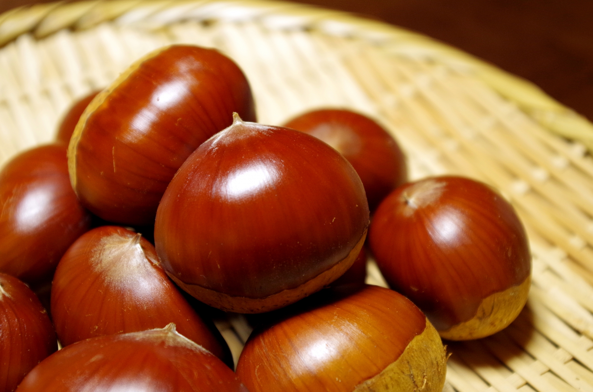 21fa5d69dd2d1a8e2a52b3ba576fd82f