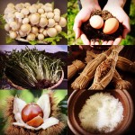 マルシェは明日！！【京都より　秋の味覚をお届け。】