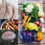 【『固定種』『無農薬』にこだわってます。《正直、難しいことは、忘れました。》】