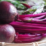 2月のマルシェは15日！【京都産　自然栽培の野菜マルシェ】