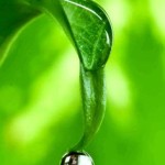 【何をしても乾燥していました。《『お肌のテカリ』と『乾燥』》『ヴァスパー的』スキンケアのススメ。】