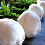 マルシェは15日！《葉もの、盛りだくさん！》【京都産　自然栽培の野菜マルシェ】