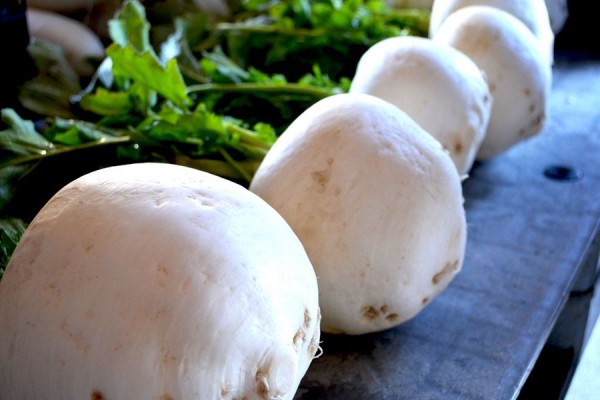 kyotovegelabo-etie201501-01-900-r-600x400